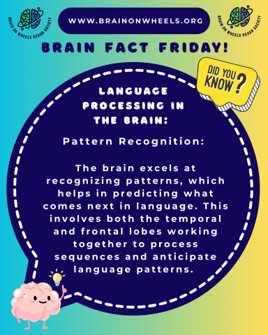 Brain Fact Friday