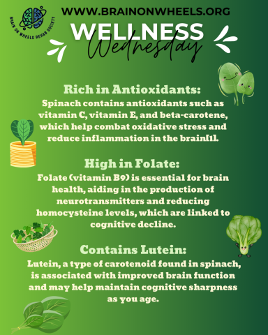Wellness Wednesday